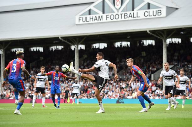 他的两粒进 他的两粒进